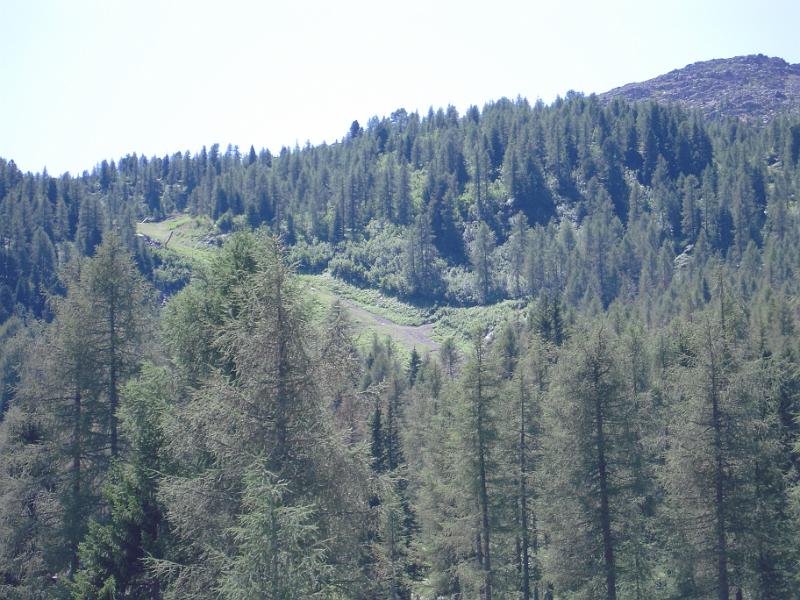 DOLOMITI2009 (144).JPG